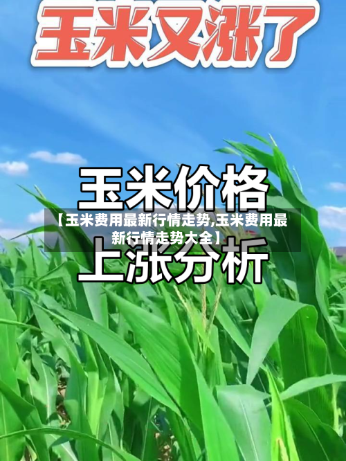 【玉米费用最新行情走势,玉米费用最新行情走势大全】-第3张图片