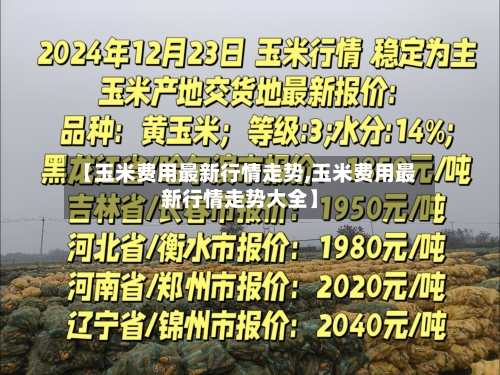 【玉米费用最新行情走势,玉米费用最新行情走势大全】