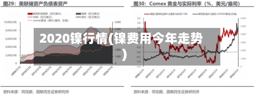 2020镍行情(镍费用今年走势)-第2张图片