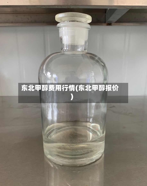 东北甲醇费用行情(东北甲醇报价)