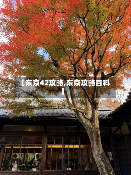 【东京42攻略,东京攻略百科】-第3张图片