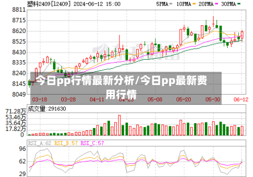 今日pp行情最新分析/今日pp最新费用行情
