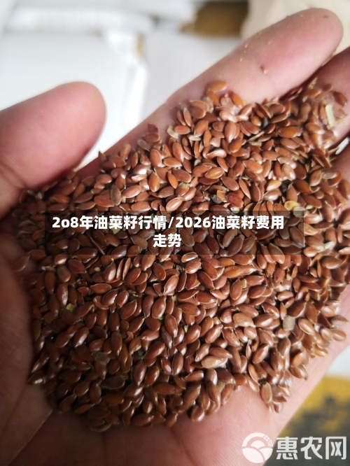 2o8年油菜籽行情/2026油菜籽费用走势-第3张图片