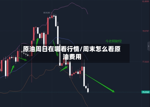 原油周日在哪看行情/周末怎么看原油费用-第2张图片