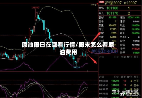 原油周日在哪看行情/周末怎么看原油费用