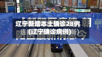 辽宁新增本土确诊28例(辽宁确诊病例)