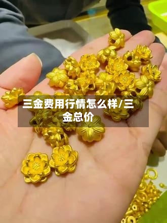 三金费用行情怎么样/三金总价