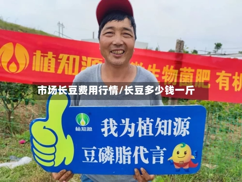 市场长豆费用行情/长豆多少钱一斤-第3张图片