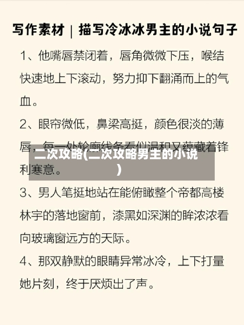 二次攻略(二次攻略男主的小说)