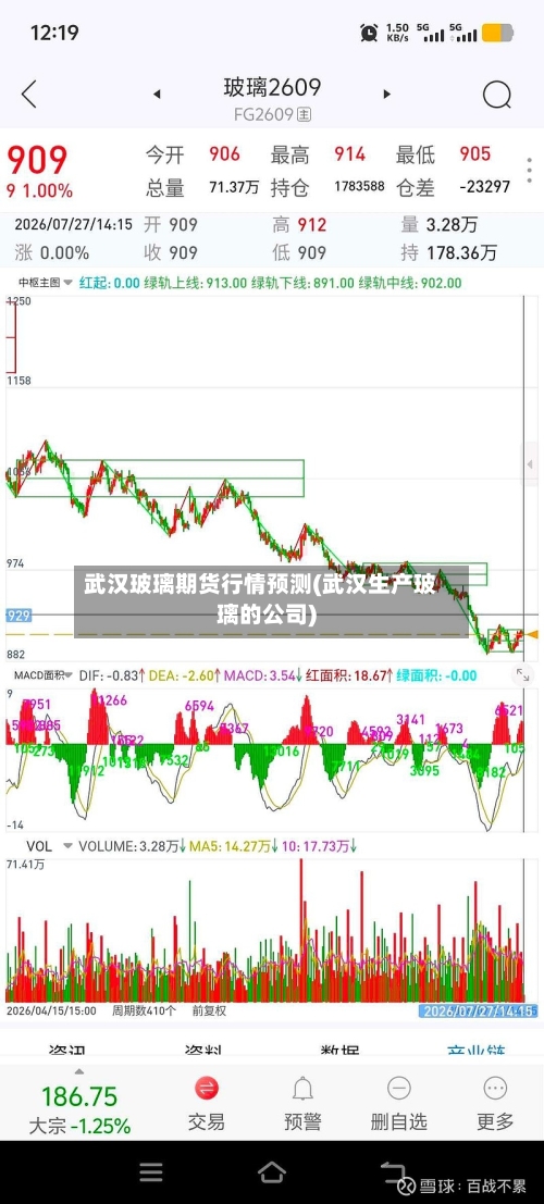 武汉玻璃期货行情预测(武汉生产玻璃的公司)