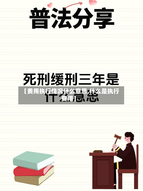 【费用执行情况什么意思,什么是执行费用】
