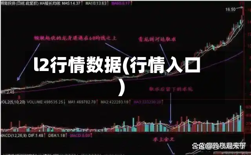 l2行情数据(行情入口)-第3张图片