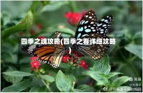 四季之魂攻略(四季之春详细攻略)-第2张图片