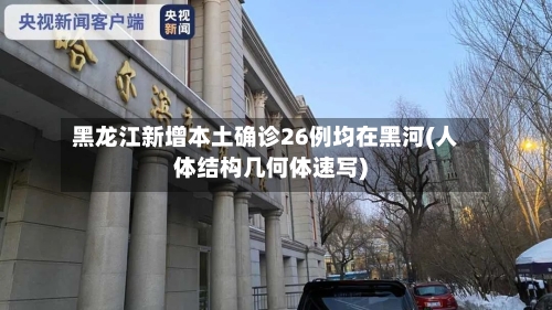 黑龙江新增本土确诊26例均在黑河(人体结构几何体速写)-第2张图片