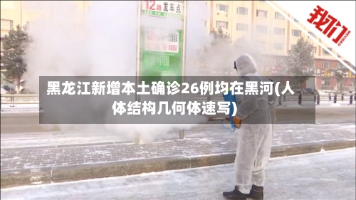 黑龙江新增本土确诊26例均在黑河(人体结构几何体速写)