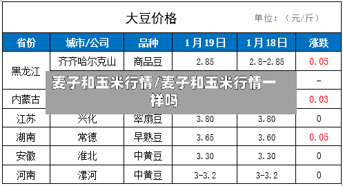 麦子和玉米行情/麦子和玉米行情一样吗-第2张图片