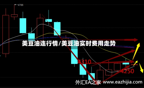 美豆油连行情/美豆油实时费用走势