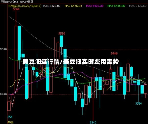 美豆油连行情/美豆油实时费用走势-第2张图片