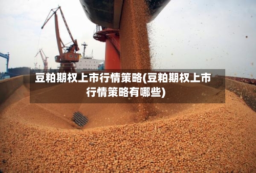 豆粕期权上市行情策略(豆粕期权上市行情策略有哪些)-第3张图片