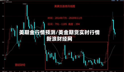 美期金行情预测/美金期货实时行情新浪财经网-第2张图片