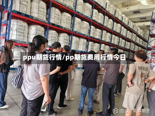 ppu期货行情/pp期货费用行情今日