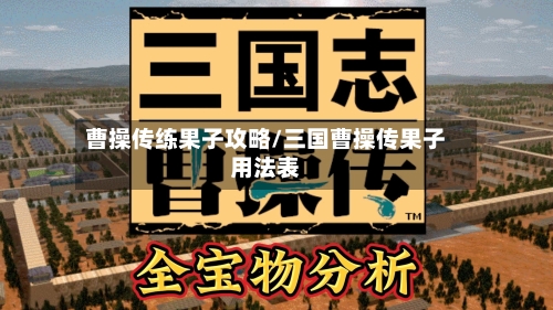 曹操传练果子攻略/三国曹操传果子用法表-第2张图片