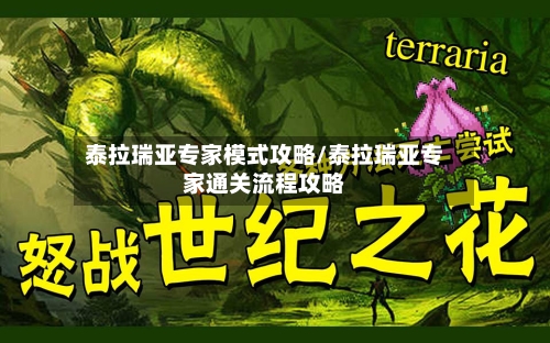 泰拉瑞亚专家模式攻略/泰拉瑞亚专家通关流程攻略-第2张图片