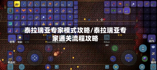 泰拉瑞亚专家模式攻略/泰拉瑞亚专家通关流程攻略-第3张图片