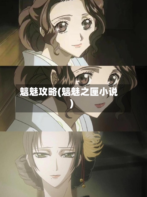 魑魅攻略(魑魅之匣小说)