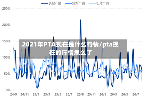 2021年PTA现在是什么行情/pta现在的行情怎么了