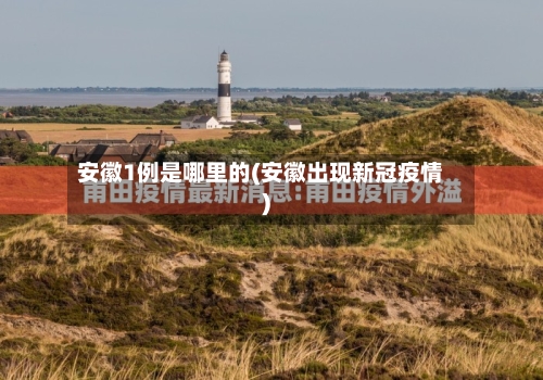 安徽1例是哪里的(安徽出现新冠疫情)