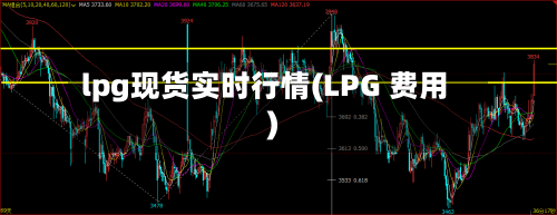 lpg现货实时行情(LPG 费用)