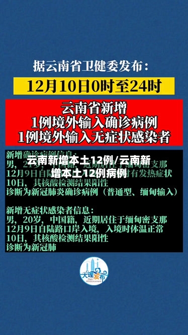 云南新增本土12例/云南新增本土12例病例