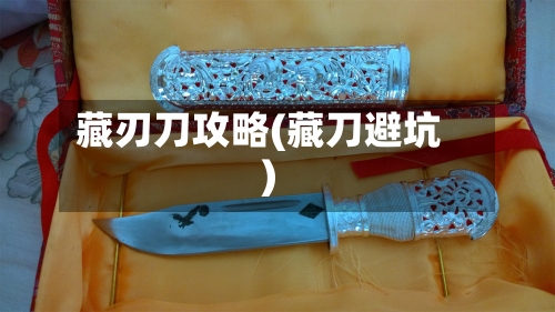 藏刃刀攻略(藏刀避坑)