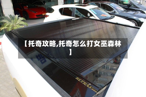 【托奇攻略,托奇怎么打女巫森林】-第2张图片