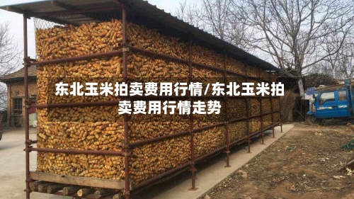 东北玉米拍卖费用行情/东北玉米拍卖费用行情走势-第2张图片