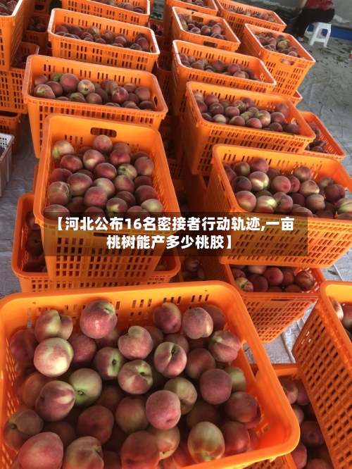 【河北公布16名密接者行动轨迹,一亩桃树能产多少桃胶】
