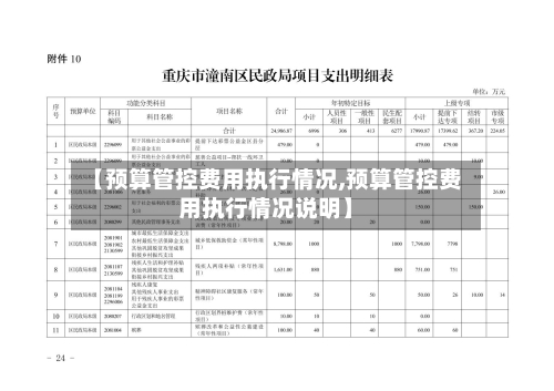 【预算管控费用执行情况,预算管控费用执行情况说明】-第3张图片