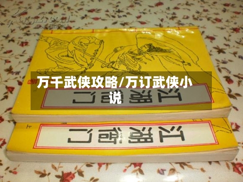 万千武侠攻略/万订武侠小说