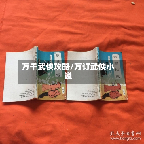 万千武侠攻略/万订武侠小说-第3张图片