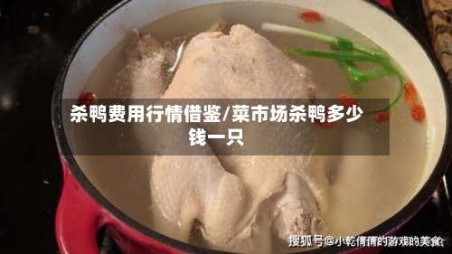杀鸭费用行情借鉴/菜市场杀鸭多少钱一只-第2张图片