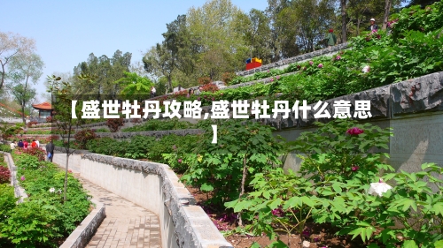【盛世牡丹攻略,盛世牡丹什么意思】-第3张图片