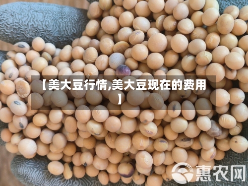 【美大豆行情,美大豆现在的费用】-第2张图片