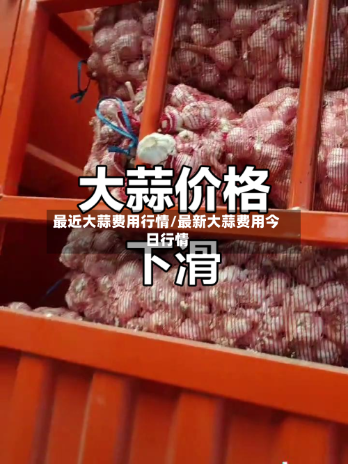 最近大蒜费用行情/最新大蒜费用今日行情