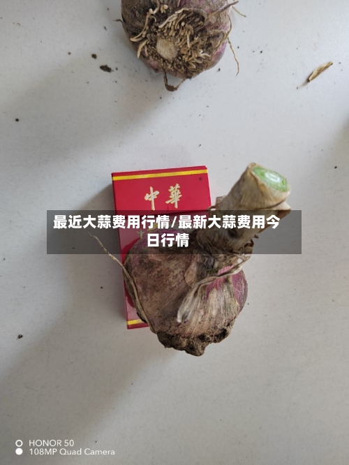 最近大蒜费用行情/最新大蒜费用今日行情-第2张图片