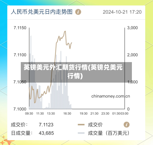 英镑美元外汇期货行情(英镑兑美元行情)-第2张图片