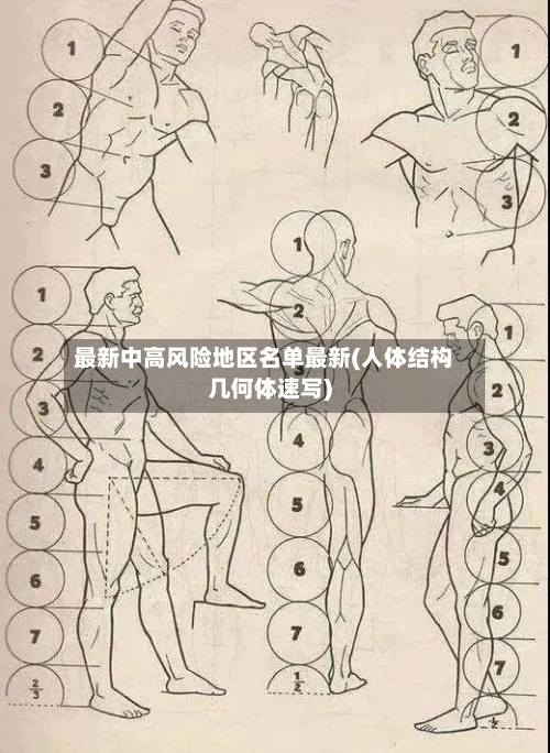 最新中高风险地区名单最新(人体结构几何体速写)-第2张图片