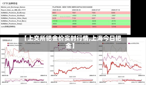 【上交所钯金价实时行情,上海今日钯金】