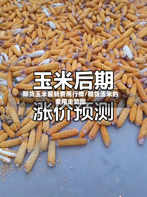 期货玉米最新费用行情/期货玉米的费用走势图