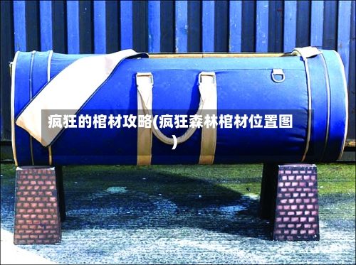 疯狂的棺材攻略(疯狂森林棺材位置图)